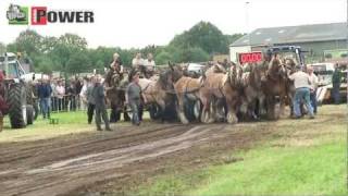 16 paarden voor de sleepwagen  Internationaal Historisch Festival Panningen 2011 [upl. by Urias]