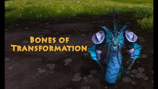 World of Warcraft Toys Guide 8  Bones of Transformation  Night Elf Rare Archaeology Item [upl. by Ahsilac]