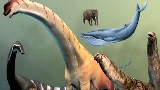 Paleontology News How Sauropods Grew So Big [upl. by Atinomar]