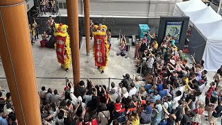 Tung Tek Lion dance CNY 2024 Auckland New Zealand [upl. by Haidabej]