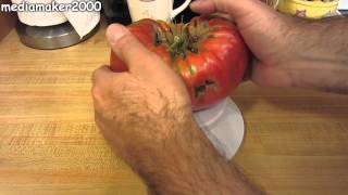 1 Pound and 2 Pound Plus Tomato Harvest [upl. by Volnay]