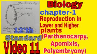 Apomixis  Parthenocarpy  Polyembryony  Chapter 1 Biology  HSC  class 12  video 11 [upl. by Reddy913]