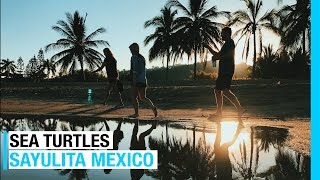 SAYULITA MEXICO  SEA TURTLES  LA PENITA MARKET EP 40 FULL TIME RV LIVING [upl. by Africah]