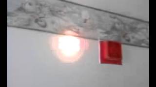 Simplex fire alarm system horn and incandescent lamp [upl. by Trisa]