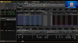 How I use the Schwab ThinkorSwim Analyze platform [upl. by Dawn]