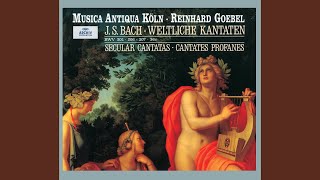 JS Bach quotGeschwinde ihr wirbelnden Windequot Cantata BWV 201  12 quotWie Midas bist du tollquot [upl. by Tobiah]