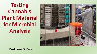 Testing Cannabis Plant Material for Microbial Analysis [upl. by Barhos22]