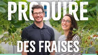 Produire des Fraises 🍓 ON VOUS DIT TOUT [upl. by Sillert]