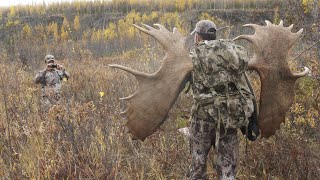 Troy Sessions  Two 70quot moose on one hunt Never been achieved before [upl. by Hayilaa442]