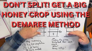 Dont Split Get a big honey crop with the Demaree method [upl. by Larual]