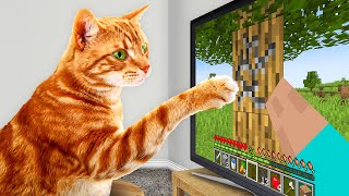 I Taught My Cats to Beat Minecraft in Real Life [upl. by Rolyak]