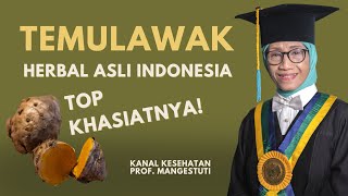 TEMULAWAK  HERBAL ASLI INDONESIA TOP KHASIATNYA [upl. by Otes]