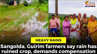 HeavyRains Sangolda Guirim farmers say rain has ruined crop demands compensation [upl. by Ashman424]