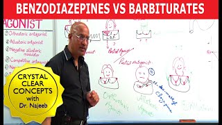 Benzodiazepines Vs Barbiturates  Pharmacology  Dr Najeeb Lectures [upl. by Anialad]