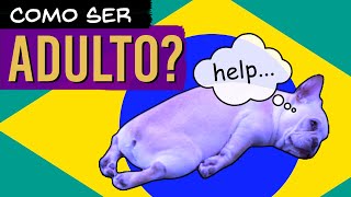 Breve guia para o jovem adulto cansado [upl. by Enutrof374]