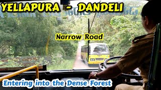 Entering into the Dense Forest🌳 YELLAPUR  DANDELI Cabin ride bus volvo ksrtc viral scania [upl. by Ahsal]