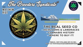 Angus from The Real Seed Company Pt1 Landrace Heirloom Sativas Indica Afghanis Cannabis Podcast [upl. by Fuchs]