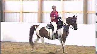 Locking Stifle Syndrome in the Gaited Horse [upl. by Nnahaid]