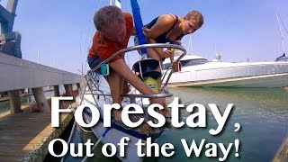 FORESTAY OUT OF THE WAY Adventure 21 [upl. by Junette602]