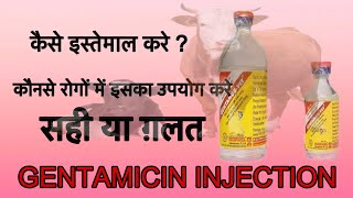 GENTAMICIN INJECTIONS  उपयोग कैसे करे और कब नहीं करे इल्लाज़ तथा जानकारी [upl. by Ahcila561]