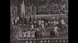 1963 1 German Championship in Wiesbaden Voltigieren  Voltige  Vaulting [upl. by Posehn339]