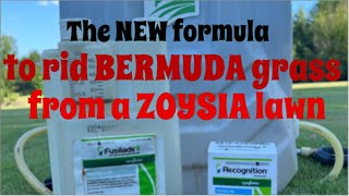 The new formula to remove Bermuda grass from a Zoysia lawn [upl. by Bobbette]