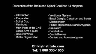 Pineal Gland Colliculi and Pulvinar From quotDissection of the Brain and Spinal Cordquot by B Chikly [upl. by Berghoff]