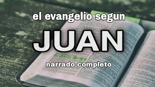 el evangelio según JUAN  AUDIOLIBRO [upl. by Enelrihs426]