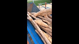 log debarker and disc chipper machine processing wood into wood chips [upl. by Latreese]