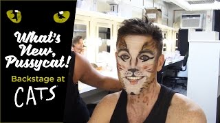 Episode 3  Whats New Pussycat Backstage at CATS with Tyler Hanes [upl. by Dnumyar950]