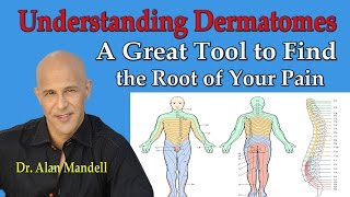 Understanding Dermatomes  A Great Tool to Find the Root of Your Pain  Dr Mandell [upl. by Ibby399]