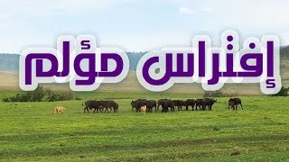 افتراس مؤلم [upl. by Enyaw]