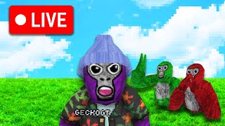 🤫GORILLA TAG LIVE🤫 With Viewers shorts shortslive [upl. by Ydnal]