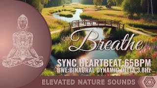 Breathe and Sync Heartbeat to 65bpm Binaural Delta 38hz Elevated 174Hz Pure Tone Sleeping Relaxing [upl. by Kimberlyn10]