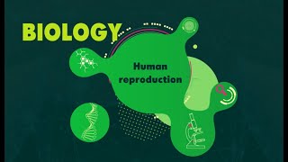 KS3 Reproduction BBC Bitesize Biology [upl. by Pegeen]