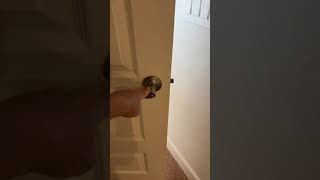 Must Watch Honest Review of Door Lever with Lock [upl. by Marius806]