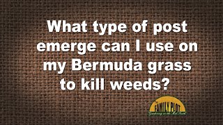 QampA – What type of postemergent herbicide should I use on Bermuda [upl. by Guidotti501]