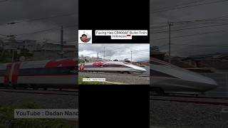 Indonesian Chinese Fuxing Hao CR400AF Bullet Train for Jakarta Bandung Routes Kereta Cepat Whoosh [upl. by Dazraf]