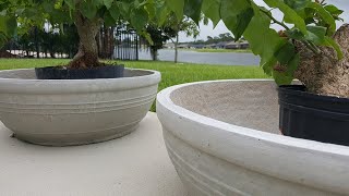 DIY  LARGE CONCRETE PLANTER ANY SIZE FOR LESS [upl. by Romilly]