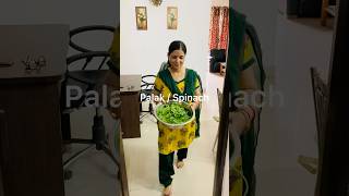 Restaurant Style Sative Palak paneer shots food cooking [upl. by Lu644]