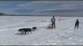 Flagstaff Sled Dog Race 2009 [upl. by Erina260]