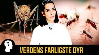 VERDENS FARLIGSTE DYR [upl. by Rollie625]