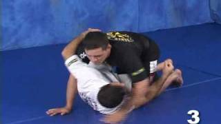 Saulo Ribeiro FreeStyle Revolution JiuJitsu  Half Guard [upl. by Nsaj]