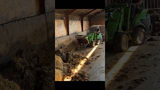 🚜 Powerful Mini Tractor Cleans the Cowshed [upl. by Vasiliu]