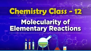 Molecularity of Elementary Reactions  Chemical Kinetics  Chemistry Class 12 [upl. by Eibbil]