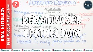 Keratinised Epithelium  Keratinization process  Maturation of keratinocytes  OMM  Dr Paridhi [upl. by Roscoe759]