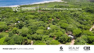 Mixeduse Lot in Playa Avellanas  Tamarindo Real Estate [upl. by Rubin]