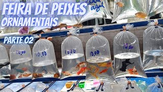 A maior Feira de Peixes Ornamentais Parte 02 [upl. by Delahk]