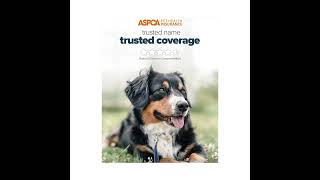 Trusted Coverage petinsurance USPCA [upl. by Ainevul]