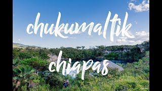 Cenote Chukumaltik Chiapas ✅ [upl. by Kiernan578]